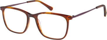 Radley RDO-6016 glasses in Tortoise/Orange