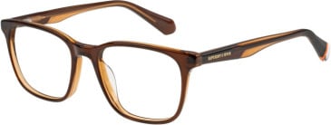 Superdry SDO-3005 glasses in Brown