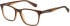 Superdry SDO-3005 glasses in Brown