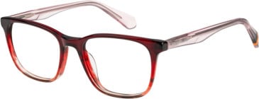 Superdry SDO-3005 glasses in Pink