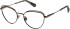 Superdry SDO-3007 glasses in Matt Black