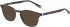 Hackett HEB138 Glasses in Dark Tortoiseshell