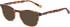 Hackett HEB138 Glasses in Brown Tortoiseshell