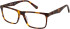 CAT CTO-3020 glasses in Gloss Horn