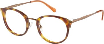 Radley RDO-6015 glasses in Tortoise/Orange