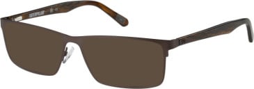 CAT CTO-3021 sunglasses in Matt Brown/Horn