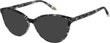 O'Neill ONB-4025 sunglasses in Matt Smoke Tortoise