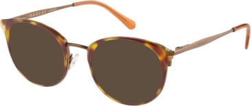 Radley RDO-6015 sunglasses in Tortoise/Orange