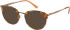 Radley RDO-6015 sunglasses in Tortoise/Orange