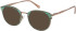 Radley RDO-6015 sunglasses in Green/Pink