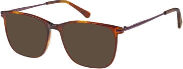 Radley RDO-6016 sunglasses in Tortoise/Orange