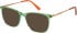 Radley RDO-6016 sunglasses in Green/Orange