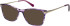 Radley RDO-6018 sunglasses in Purple/Silver
