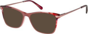 Radley RDO-6018 sunglasses in Pink/Burgundy