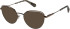 Superdry SDO-3007 sunglasses in Matt Black