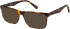 CAT CTO-3020 sunglasses in Gloss Horn
