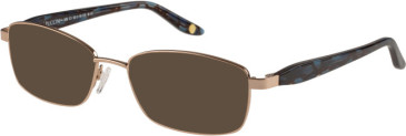 Puccini PCO-326 sunglasses in Bronze