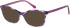 Radley RDO-6017 sunglasses in Purple/Horn