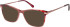 Radley RDO-6018 sunglasses in Pink/Burgundy