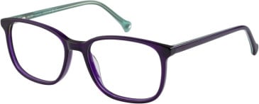 SFE-11106 glasses in Purple