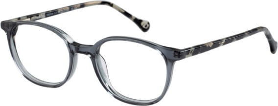 SFE-11108 glasses in Grey