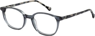 SFE-11108 glasses in Grey