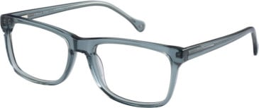 SFE-11112 glasses in Grey