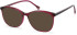 SFE-11104 sunglasses in Magenta
