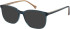 SFE-11106 sunglasses in Petrol