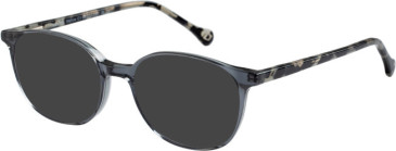 SFE-11108 sunglasses in Grey