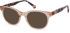 SFE-11109 sunglasses in Blush