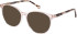 SFE-11111 sunglasses in Nude
