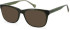 SFE-11105 sunglasses in Khaki