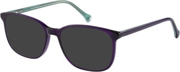 SFE-11106 sunglasses in Purple