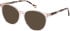 SFE-11111 sunglasses in Nude