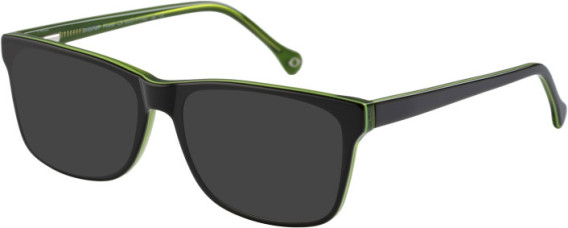 SFE-11112 sunglasses in Green
