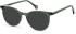 SFE-11113 sunglasses in Green
