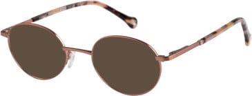 SFE-11114 sunglasses in Rose