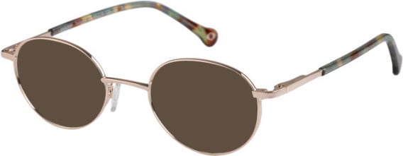 SFE-11114 sunglasses in Gold