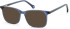 SFE-11110 sunglasses in Navy