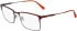 Calvin Klein Jeans CKJ23205 glasses in Dark Ruthenium/Orange