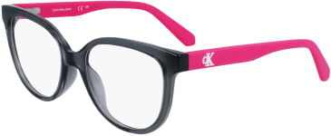 Calvin Klein Jeans CKJ23303 glasses in Grey