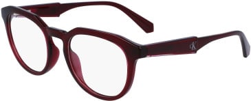 Calvin Klein Jeans CKJ23616 glasses in Burgundy