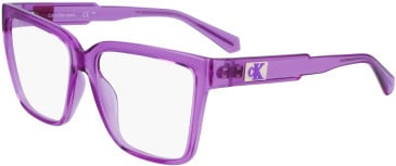 Calvin Klein Jeans CKJ23625 glasses in Purple