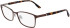 Skaga SK2148 KUNGSHAMN-53 glasses in Brown