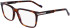Zeiss ZS23533 glasses in Tortoise
