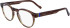 Zeiss ZS23535 glasses in Striped Light Brown