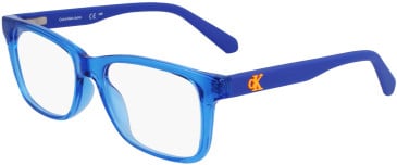 Calvin Klein Jeans CKJ23301 glasses in Blue