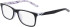 NIKE 5549 glasses in Matte Black/Wolf Grey