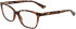 Calvin Klein CK23516-52 glasses in Brown Havana
